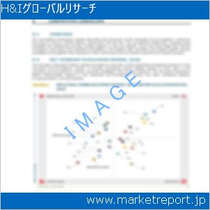 市場と産業調査レポートのイメージ